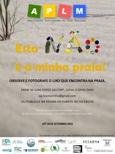 Poster - Esta não é a minha praia 2015