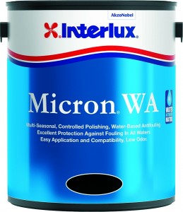 micron_wa