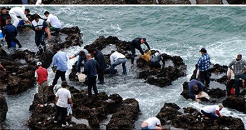 Reserva Marinha de Cascais D. Carlos I – Um projecto necessário e urgente
