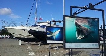 II Feira Náutica do Tejo continua no próximo fim-de-semana, com entrada livre