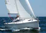 Raymarine assina acordo de exclusividade com o estaleiro Polaco Delphia Yachts