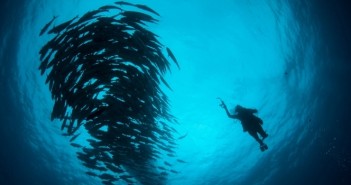 O Mar em Movimento – Festival Internacional de Cinema