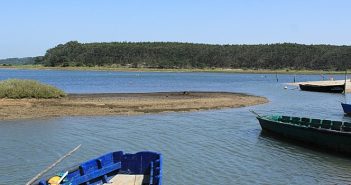 Lagoa de Óbidos, voluntários precisam-se!