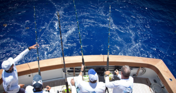 Máximo detalhe e uma melhor experiência de pesca com os novos transdutores da Garmin