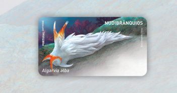 Nudibrânquios chegam aos CTT
