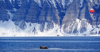The silent future of tourism: Volvo Penta to power Hurtigruten Svalbard’s new hybrid vessel