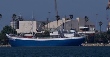 Museu Marítimo de Ílhavo assinala o Dia Mundial da Água a 21 e 22 de março