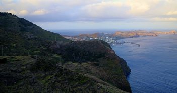 SPEA apresenta novo projeto para proteger aves marinhas na Madeira