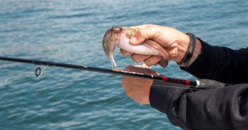 EBI e EFTTA unem-se para promover a navegação sustentável e a pesca recreativa na Europa