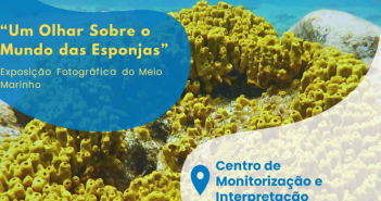 Exposição fotográfica de Esponjas Marinhas patente no CMIA de Vila do Conde