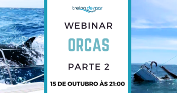 Webinar Orcas – Parte 2