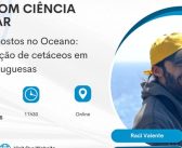 De olhos postos no Oceano: monitorização de cetáceos em águas portuguesas