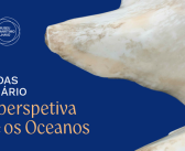 Jornadas do Aquário | Uma perspetiva sobre os Oceanos