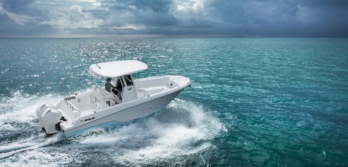 Novo Wellcraft 243 Fisherman